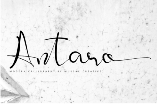Antaro Font: Elevating Editorial Design with Flow