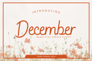 December Font Review: A Simple Script for Web Design