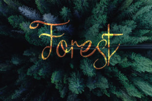 Embrace Nature's Elegance with the Forest Font