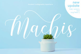 Machis Font: Elevating Editorial Design with Modern Calligraphy