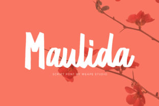 Maulida Font: Adding Natural Elegance to Editorial Layouts