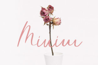 Minim: A Modern Elegant Script Font for Web Design