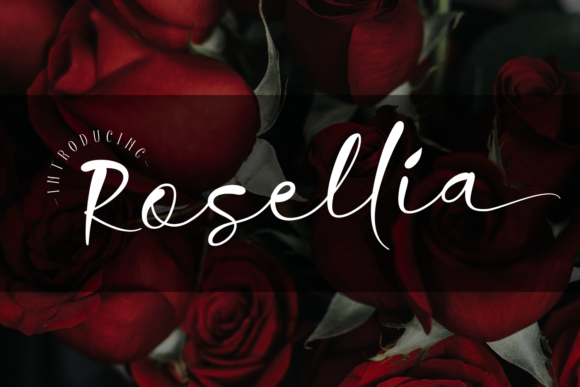 Rosellia: A Script Font with Elegance and Grace