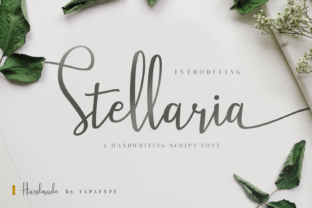 Stellaria Font: Elevating Brand Identity with Elegant Script