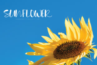 Sunflower: A Handwritten Font for Authentic Web Design