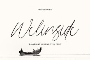 Welinside Font Review for Web Design and Branding