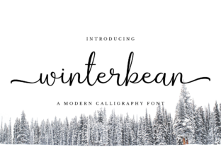 Winterbean Font Review: Elevating Campaign Visuals